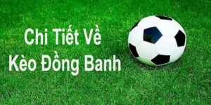 Tìm Hiểu Kèo Đồng Banh Và Những Chiến Thuật Soi Kèo Hiệu Quả Nhất