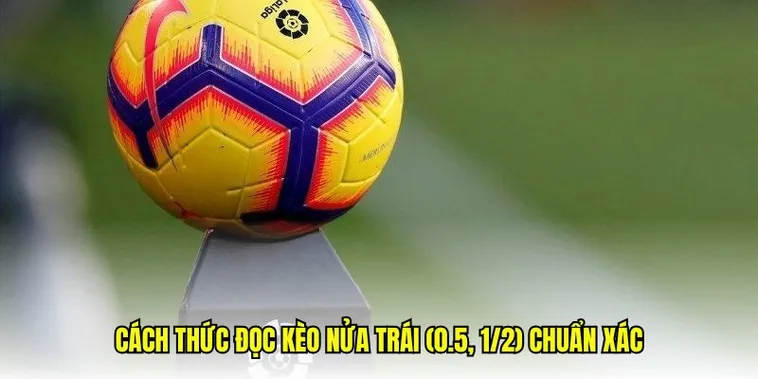 Kèo Chấp 0.5 Và Chiến Thuật Nhận Định Đội Thắng Cuộc 1 Kèo Chấp 0.5 Và Chiến Thuật Nhận Định Đội Thắng Cuộc
